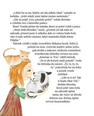 Ukázka