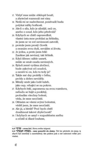 Ukázka