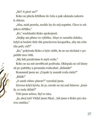Ukázka