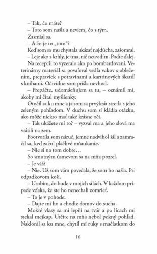 Ukázka