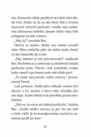 Ukázka