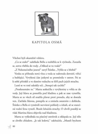 Ukázka