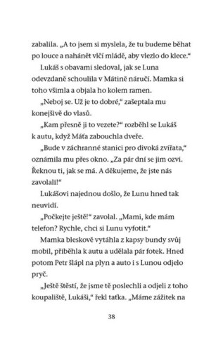 Ukázka