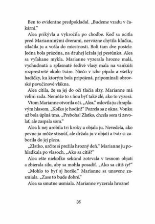 Ukázka