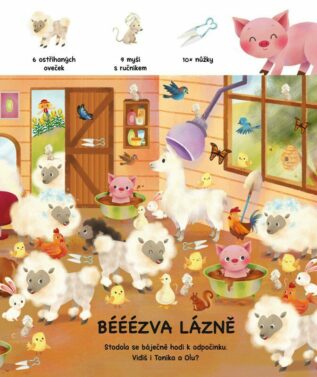 Ukázka