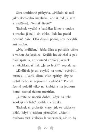 Ukázka