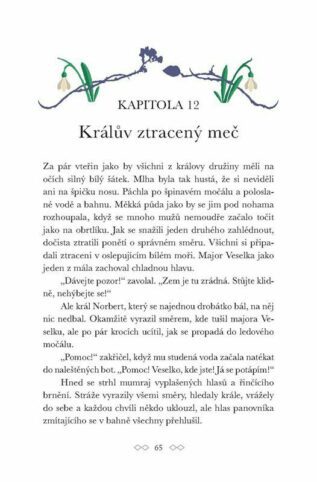 Ukázka