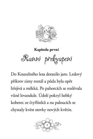 Ukázka