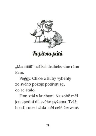 Ukázka