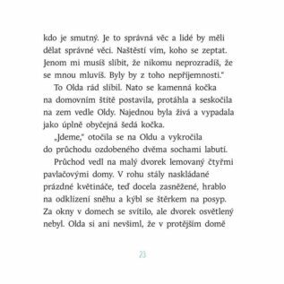 Ukázka