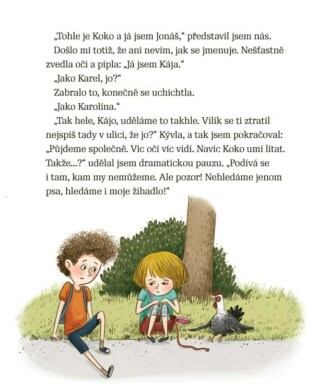 Ukázka