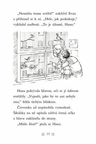 Ukázka