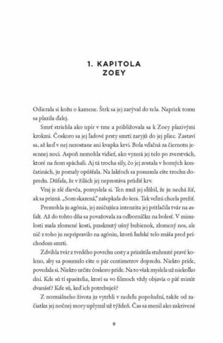 Ukázka