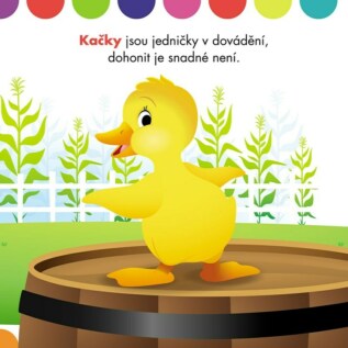 Ukázka