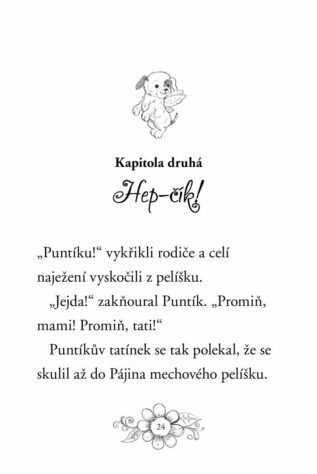 Ukázka