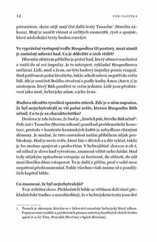 Ukázka