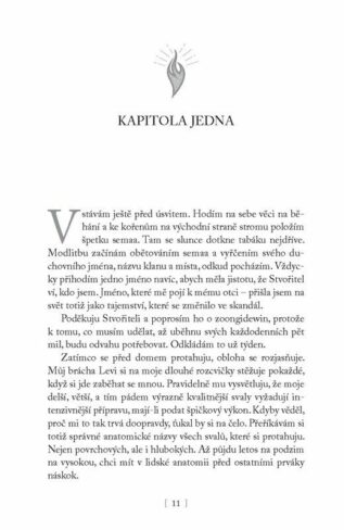 Ukázka