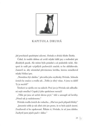 Ukázka