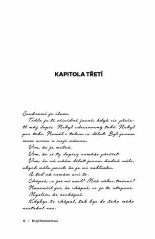 Ukázka