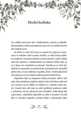 Ukázka