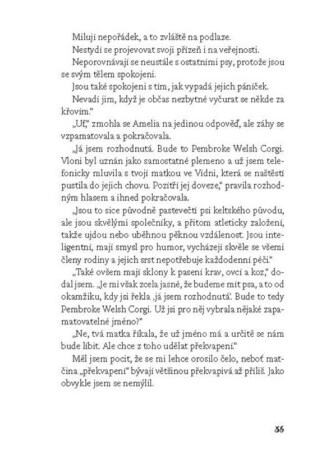 Ukázka