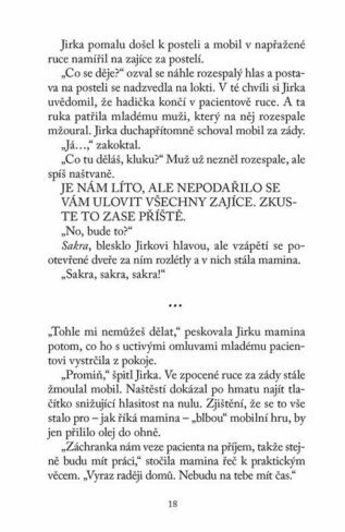 Ukázka