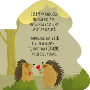 Ukázka