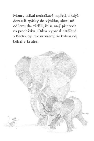 Ukázka