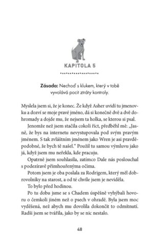 Ukázka