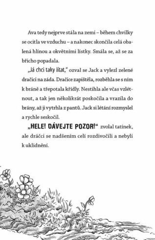 Ukázka