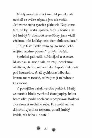 Ukázka