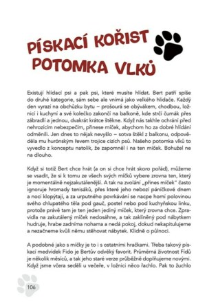 Ukázka