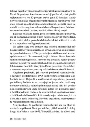 Ukázka
