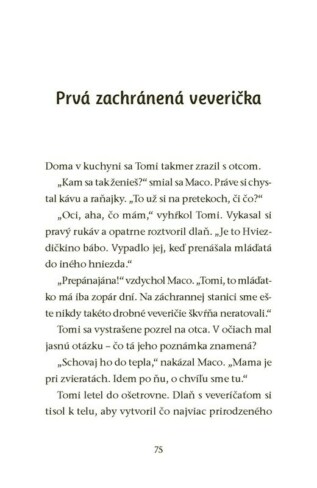 Ukázka