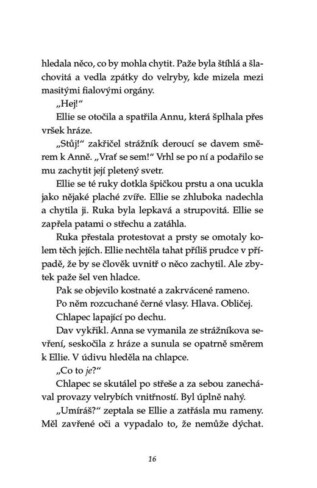 Ukázka
