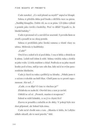 Ukázka