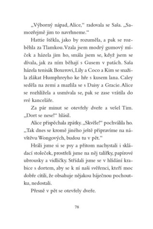Ukázka