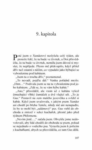Ukázka
