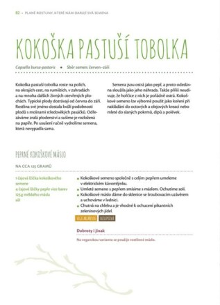Ukázka