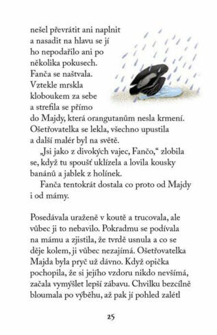 Ukázka