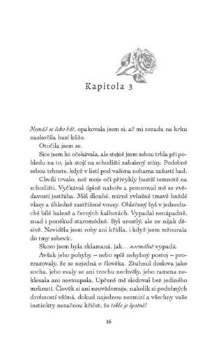 Ukázka