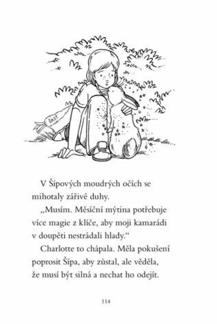 Ukázka
