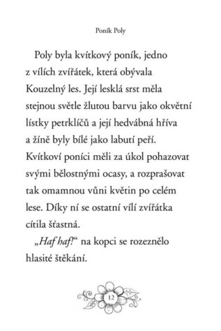 Ukázka