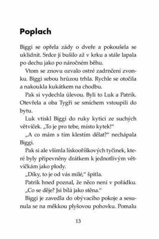 Ukázka