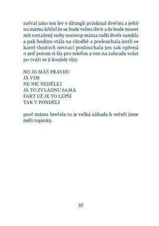 Ukázka