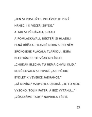 Ukázka
