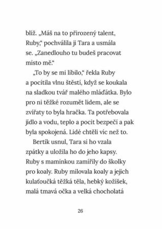 Ukázka