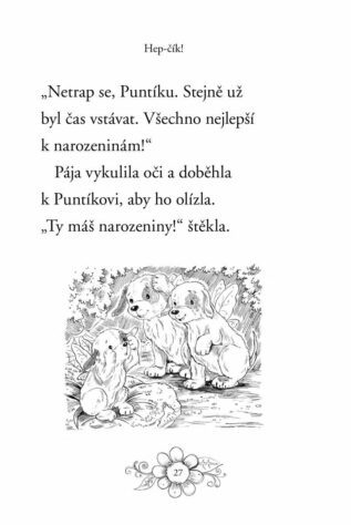 Ukázka