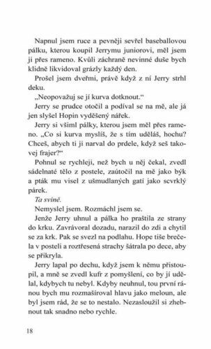 Ukázka