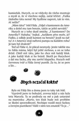 Ukázka